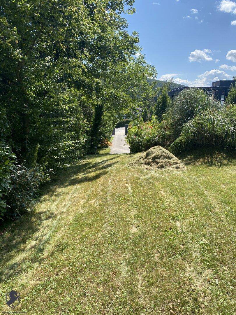 Naturbelassener Gartenbereich mit einem grasbewachsenen Hang und einem kleinen Weg.