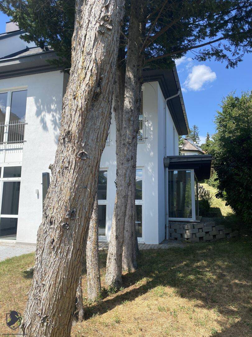 Moderne Hausfassade mit großen Fenstern und umgebender Natur, umgeben von hohen Bäumen.