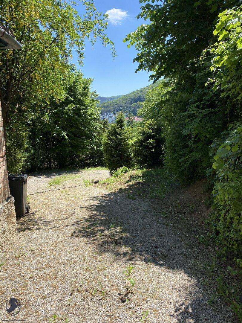 Schotterweg neben einem Gebäude, umgeben von üppigem Grün mit Blick auf die Ferne.
