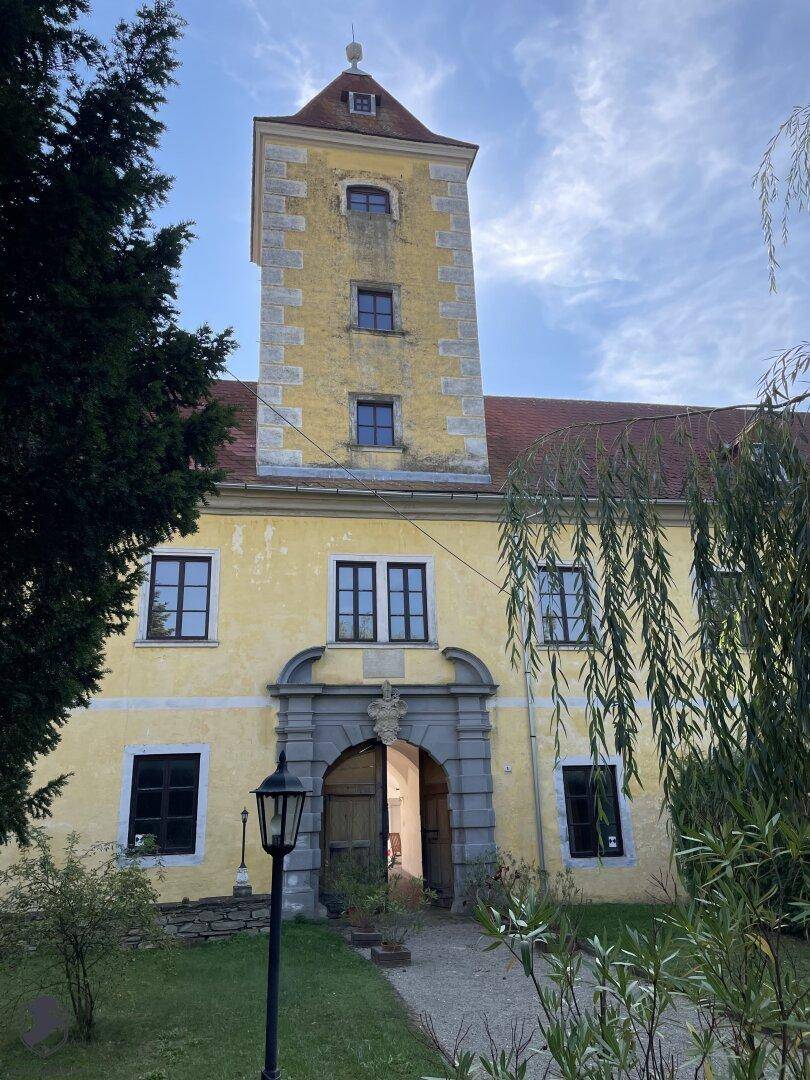 Historischer Eingangsbereich eines Schlosses mit markantem Turm und altem Baumbestand im Abendlicht.