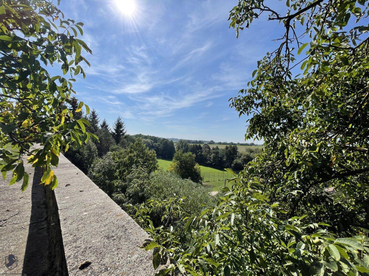 Weitläufiger Blick über die grüne Landschaft und Felder unter strahlend blauem Himmel.