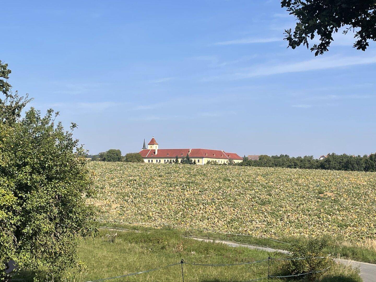 Historisches Schlossgebäude in der Ferne, umgeben von weiten Feldern und grüner Landschaft.