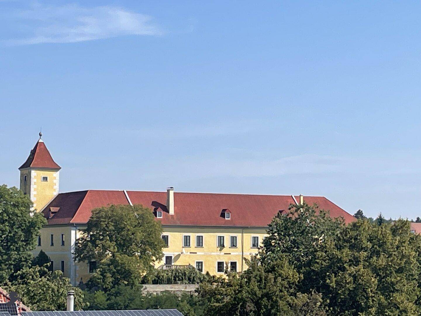Panoramablick auf das historische Schlossgebäude mit Turm, umgeben von Bäumen unter blauem Himmel.