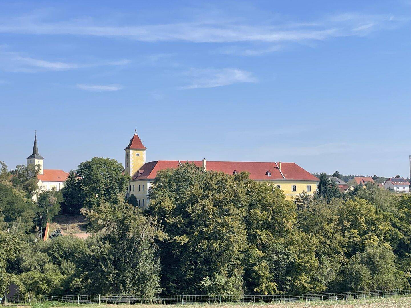 Weitläufiger Blick auf das Schloss und die umliegende ländliche Bebauung mit Kirche und viel Grün.