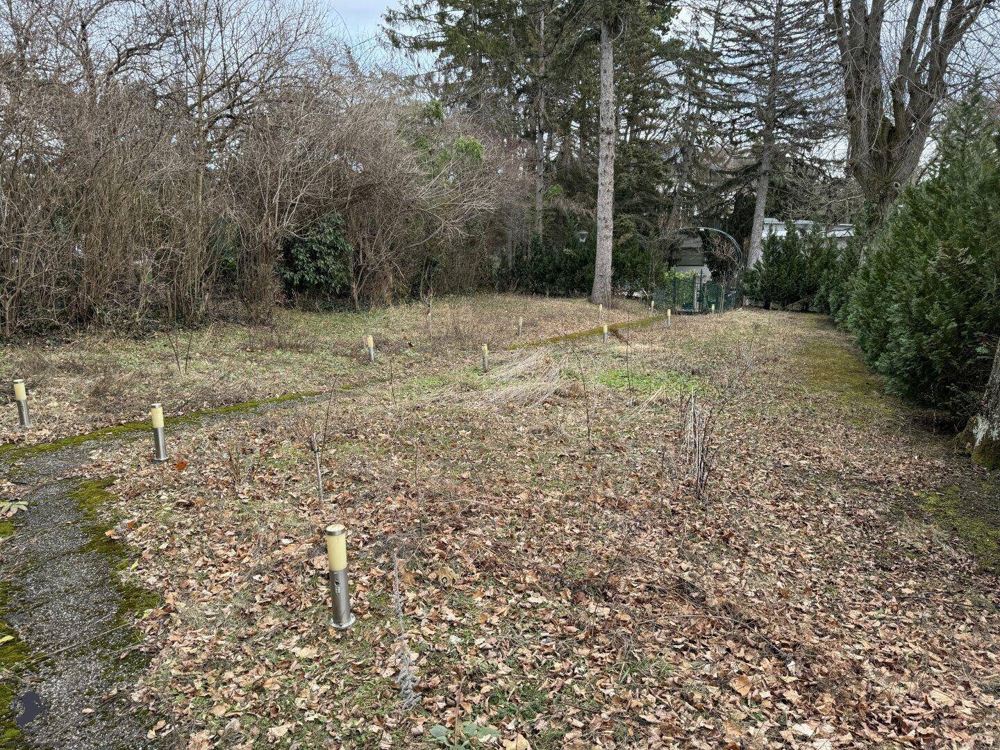 Großer Gartenbereich mit jungen Bäumen und Gartenleuchten, umgeben von älteren Bäumen.