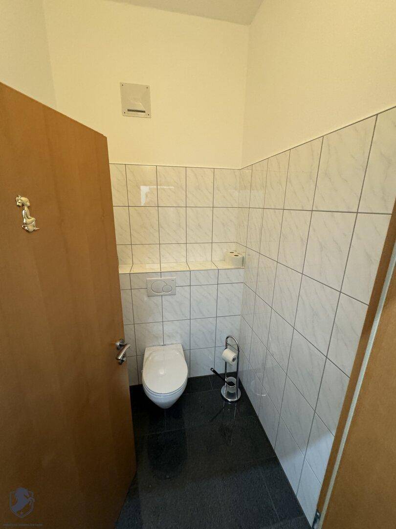 Saubere Toilette mit wandhängendem WC, gefliesten Wänden und dunklem Fliesenboden.