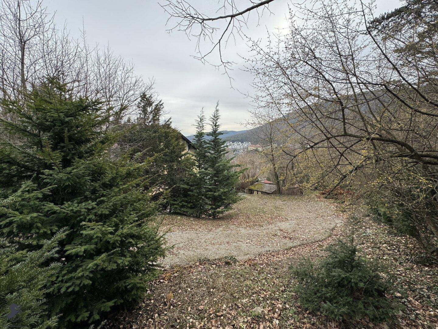 Blick auf das Grundstück mit Bäumen und Hügeln im Hintergrund an einem bewölkten Tag.