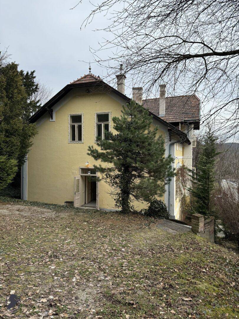 Rückansicht der historischen Villa mit gelber Fassade und Bäumen im winterlichen Garten.