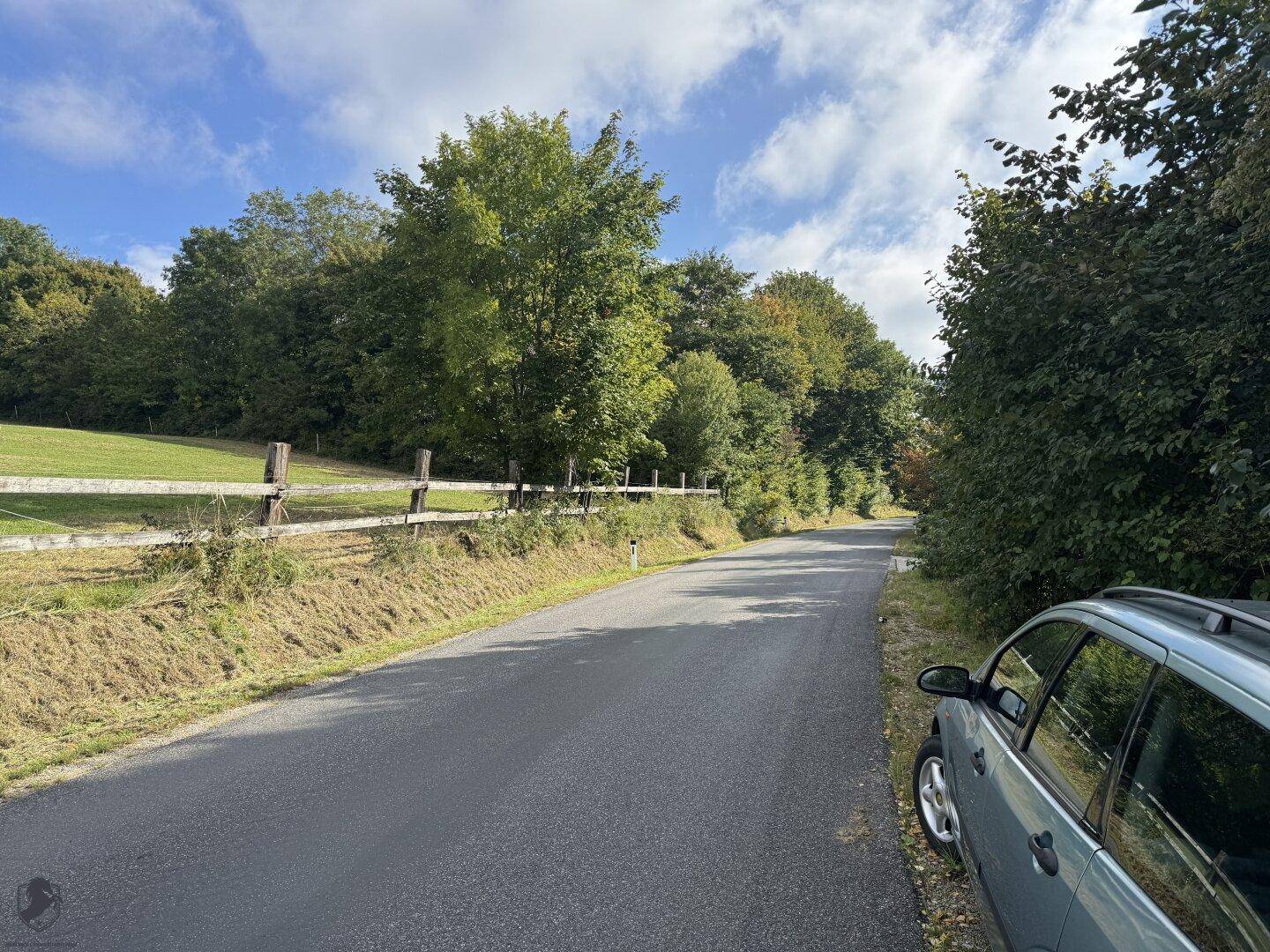 Ländliche Straße umgeben von Bäumen und grünen Feldern unter blauem Himmel.