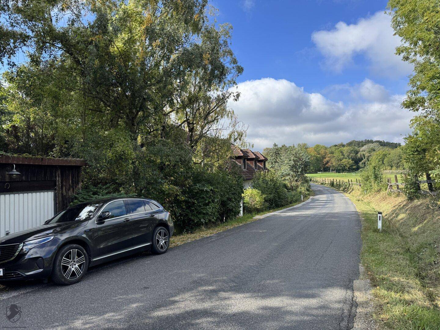 Kurvige Landstraße mit parkendem Auto, umgeben von üppiger Vegetation und Bäumen.