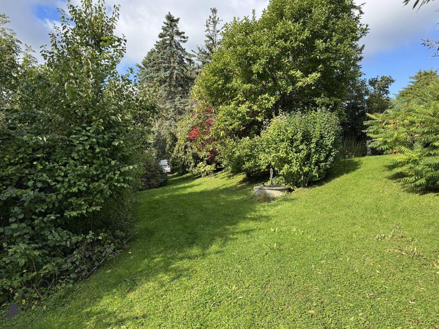 Weitläufiger, gepflegter Garten mit Rasenfläche und verschiedenen Bäumen und Sträuchern.