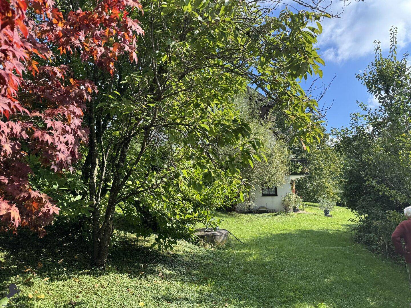 Bunter Gartenbereich mit verschiedenen Bäumen und Sträuchern unter blauem Himmel.