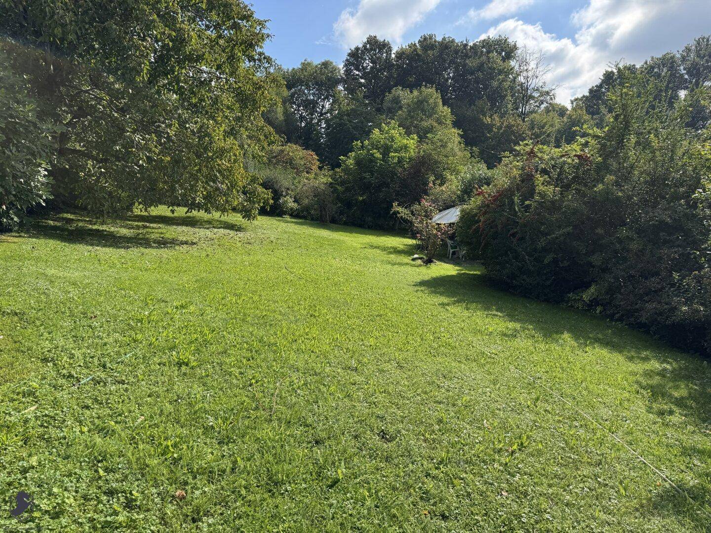 Große, offene Rasenfläche im Garten, umgeben von Bäumen und Sträuchern.