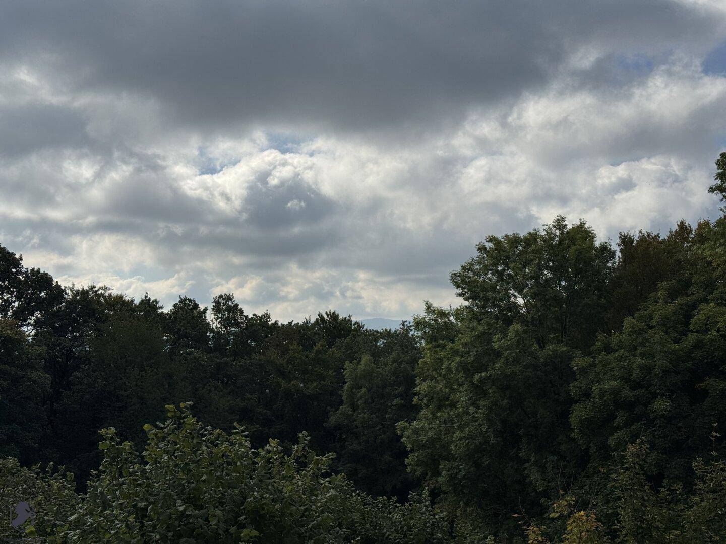 Weitläufiger Blick über bewaldete Hügel unter einem teilweise bewölkten Himmel.