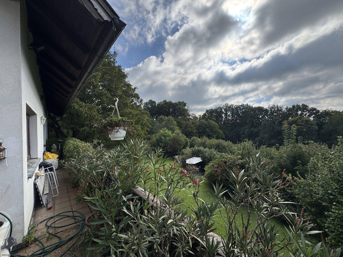 Balkon mit vielen Pflanzen und einem ruhigen Blick in den grünen Garten.