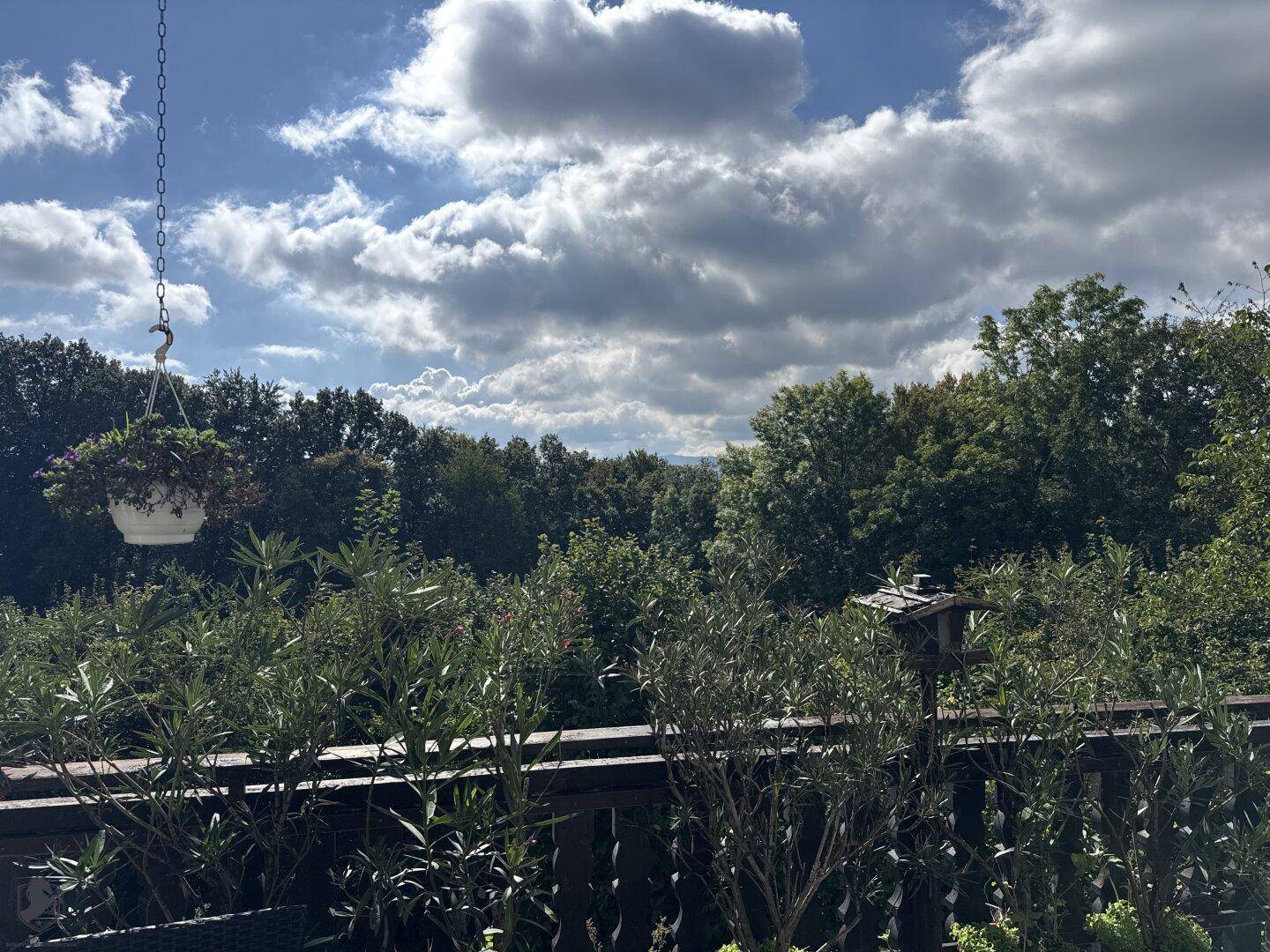 Weitläufiger Blick über bewaldete Hügel unter einem teilweise bewölkten Himmel.