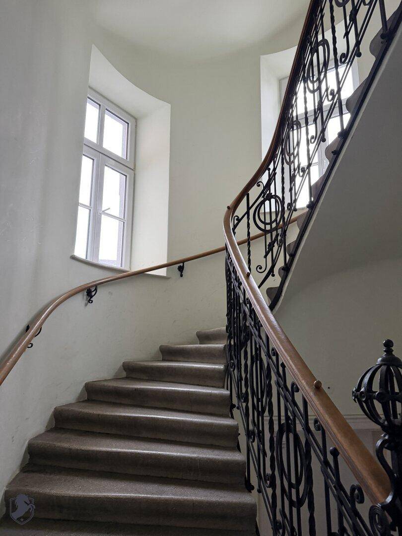 Elegantes Treppenhaus mit geschwungener Treppe, schmiedeeisernem Geländer und natürlichem Lichteinfall.