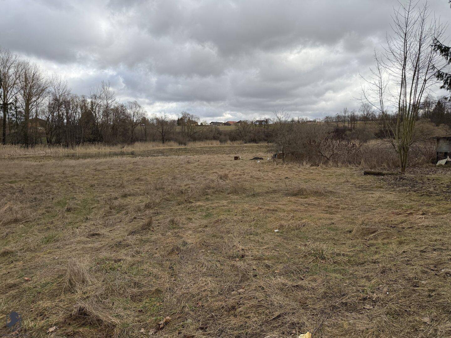 Weitläufiges, trockenes Feld mit Bäumen am Horizont unter einem bewölkten Himmel.
