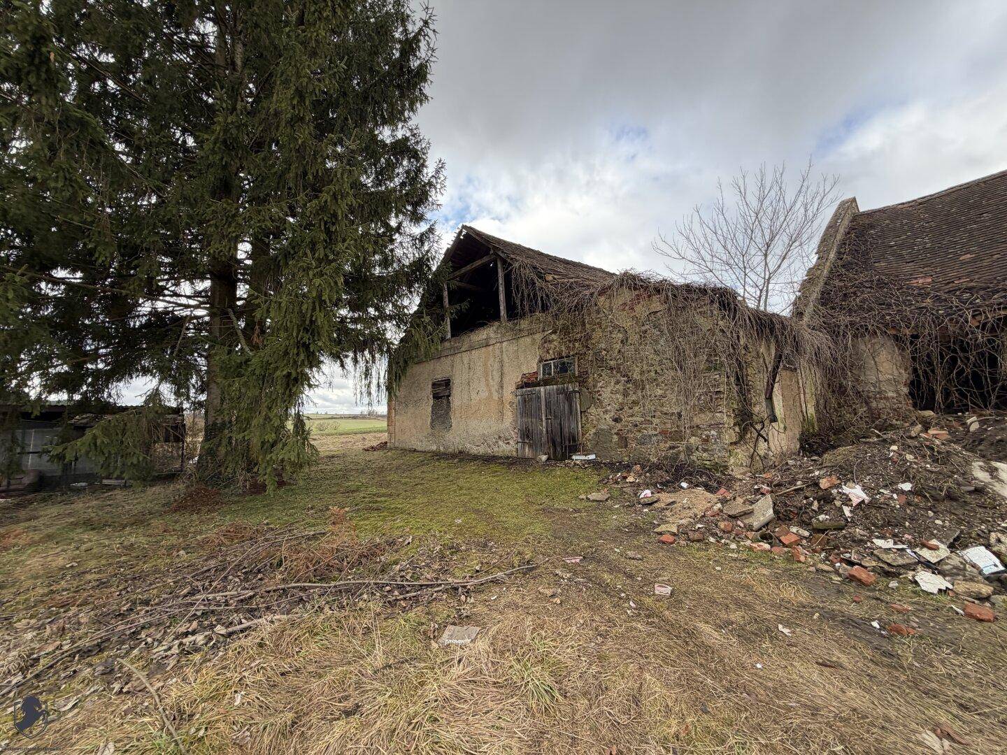Verfallenes altes Gebäude mit bröckelnden Mauern und einem großen Nadelbaum davor.