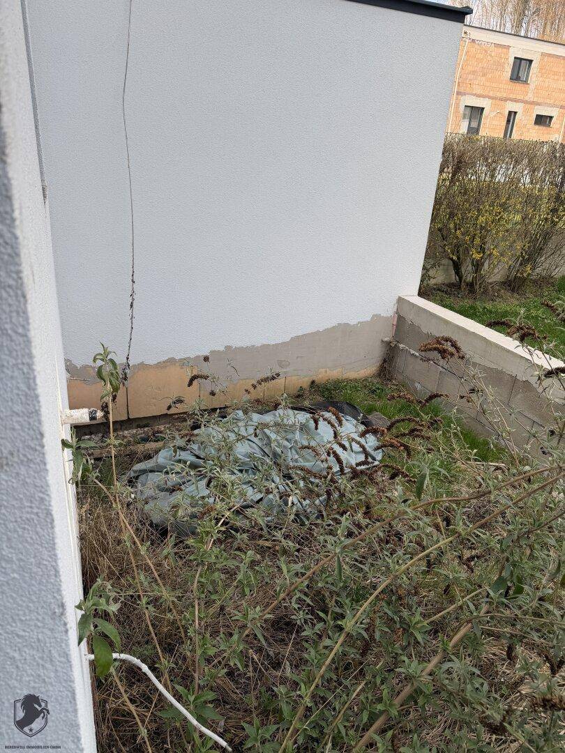Unfertiger Außenbereich neben dem Haus mit unebenem Gelände und Pflanzen.