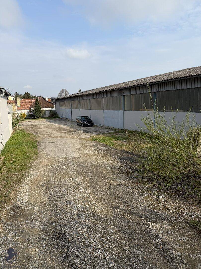 Unbefestigter Zufahrtsweg neben einer großen Halle mit einem geparkten Auto und Vegetation.