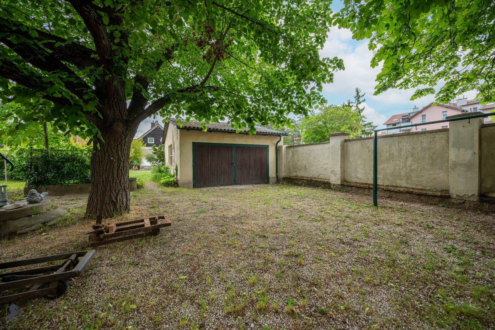 Großer Hinterhof mit einer Garage, alter Mauer und einem großen Baum, der Schatten spendet.