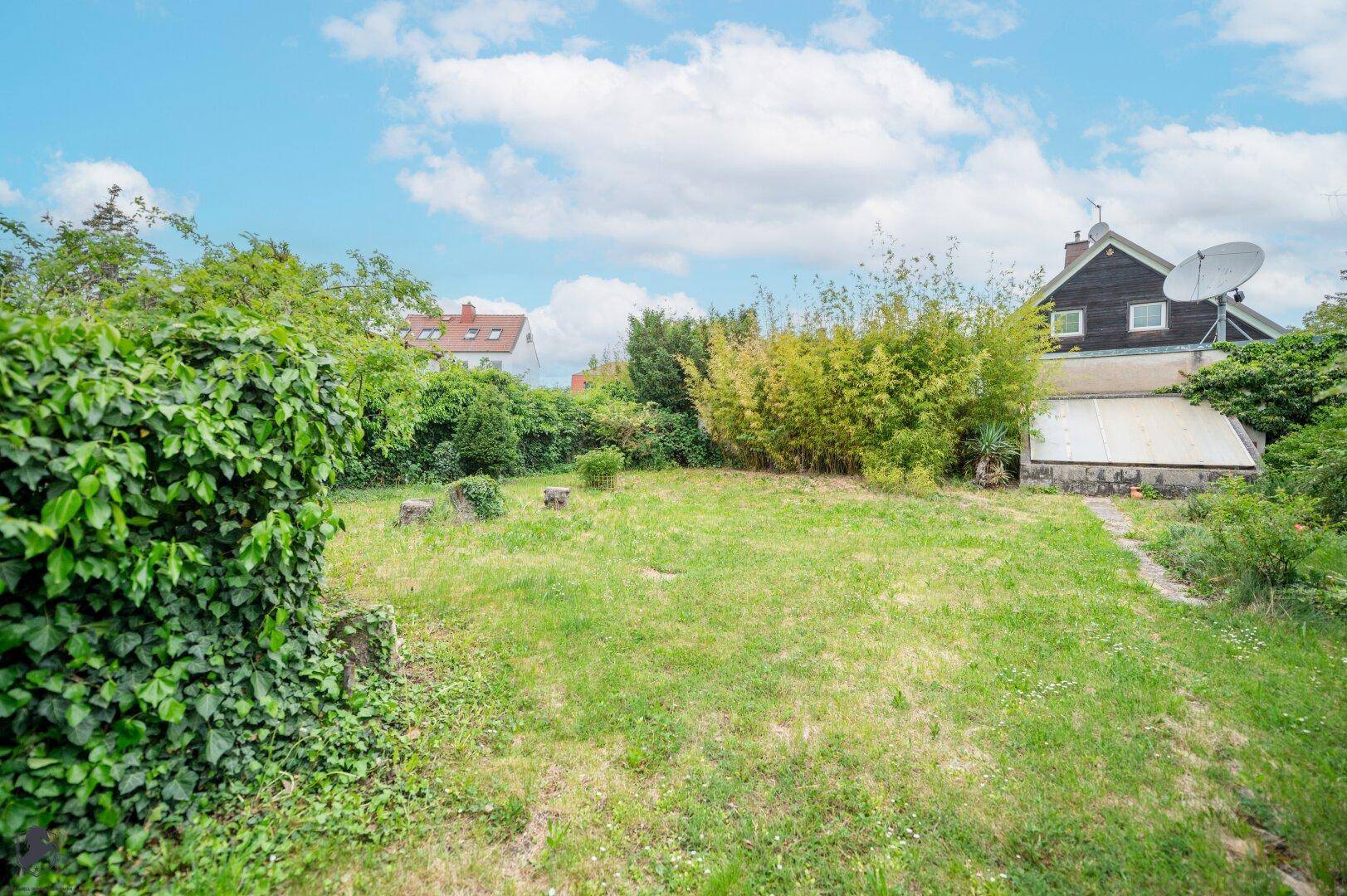 Weitläufige Rasenfläche im Garten mit hohen Büschen und Bäumen im Hintergrund unter blauem Himmel.