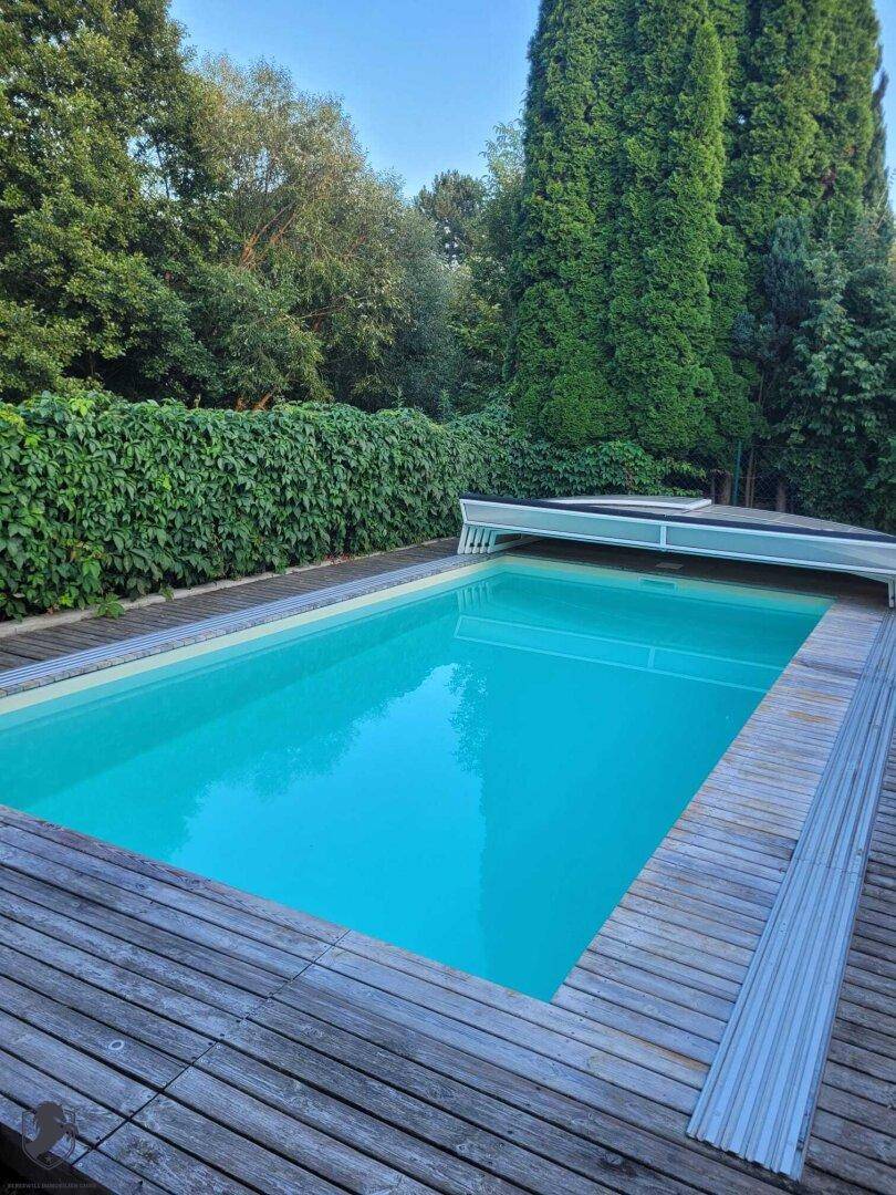 Blauer Swimmingpool mit Holzumrandung und umgeben von hohen, grünen Hecken und Bäumen.
