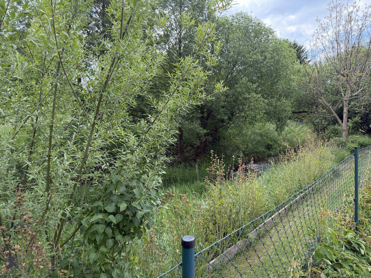 Üppiger Gartenbereich mit viel Grün, einem Zaun und einem kleinen Bachlauf im Hintergrund.