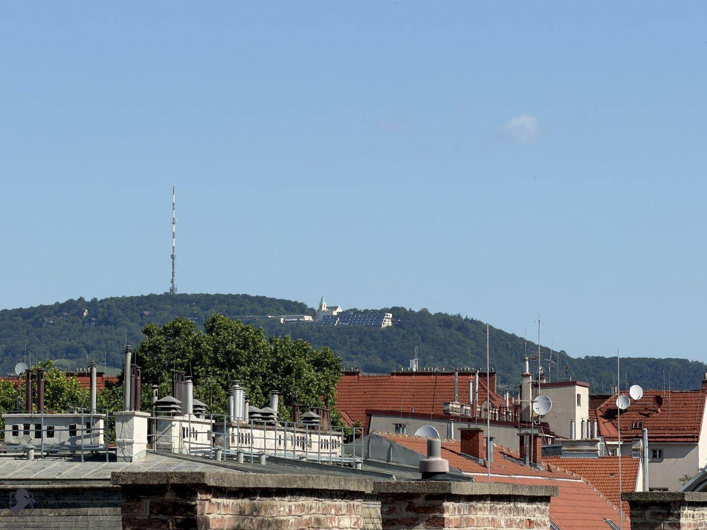 Panoramablick über die Dächer der Stadt mit einem Berg und Sendeturm im Hintergrund.