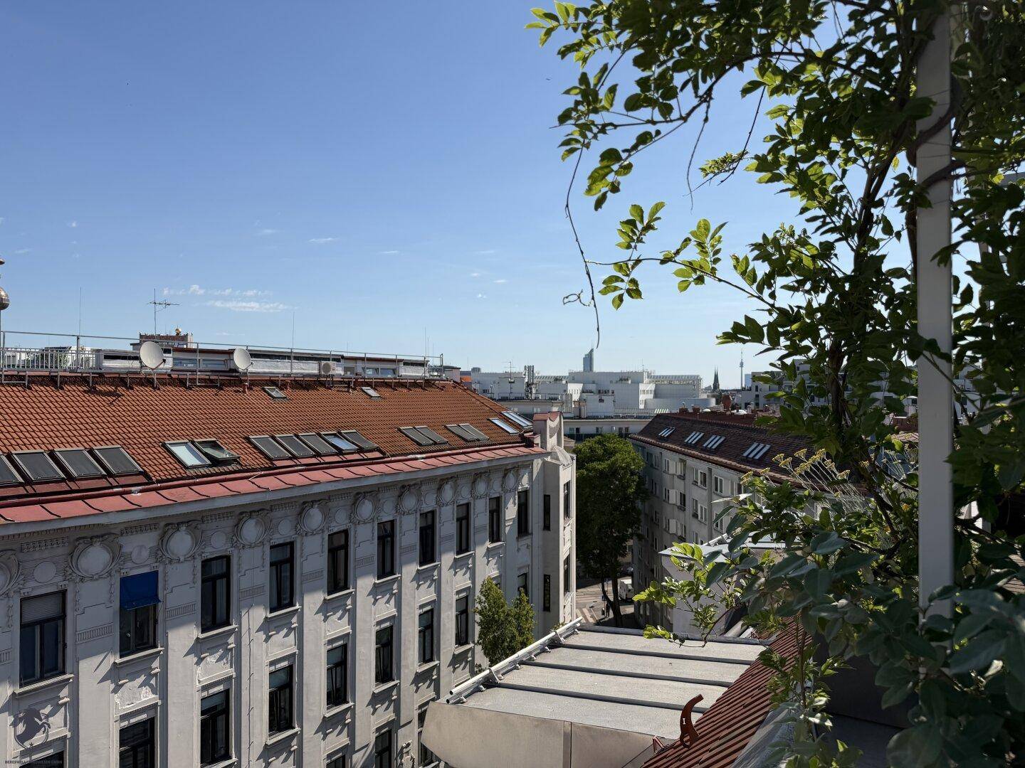 Weitblick über die roten Dächer der Stadt mit grünen Bäumen im Vordergrund.