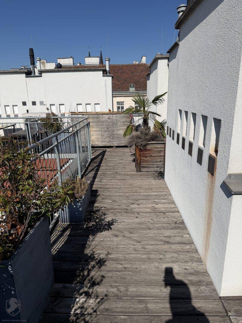 Hölzerner Gehweg auf einer Dachterrasse mit Pflanzen und weiß gestrichenen Wänden.