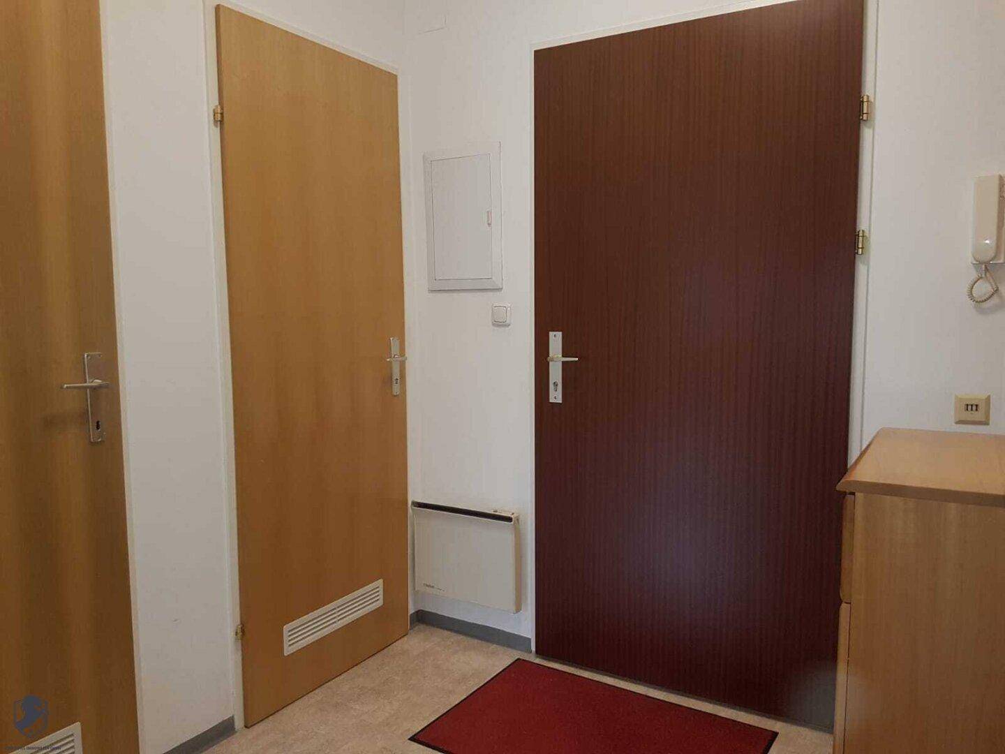 Eingangsbereich mit drei Türen, einem kleinen Heizkörper und einer Gegensprechanlage an der Wand.