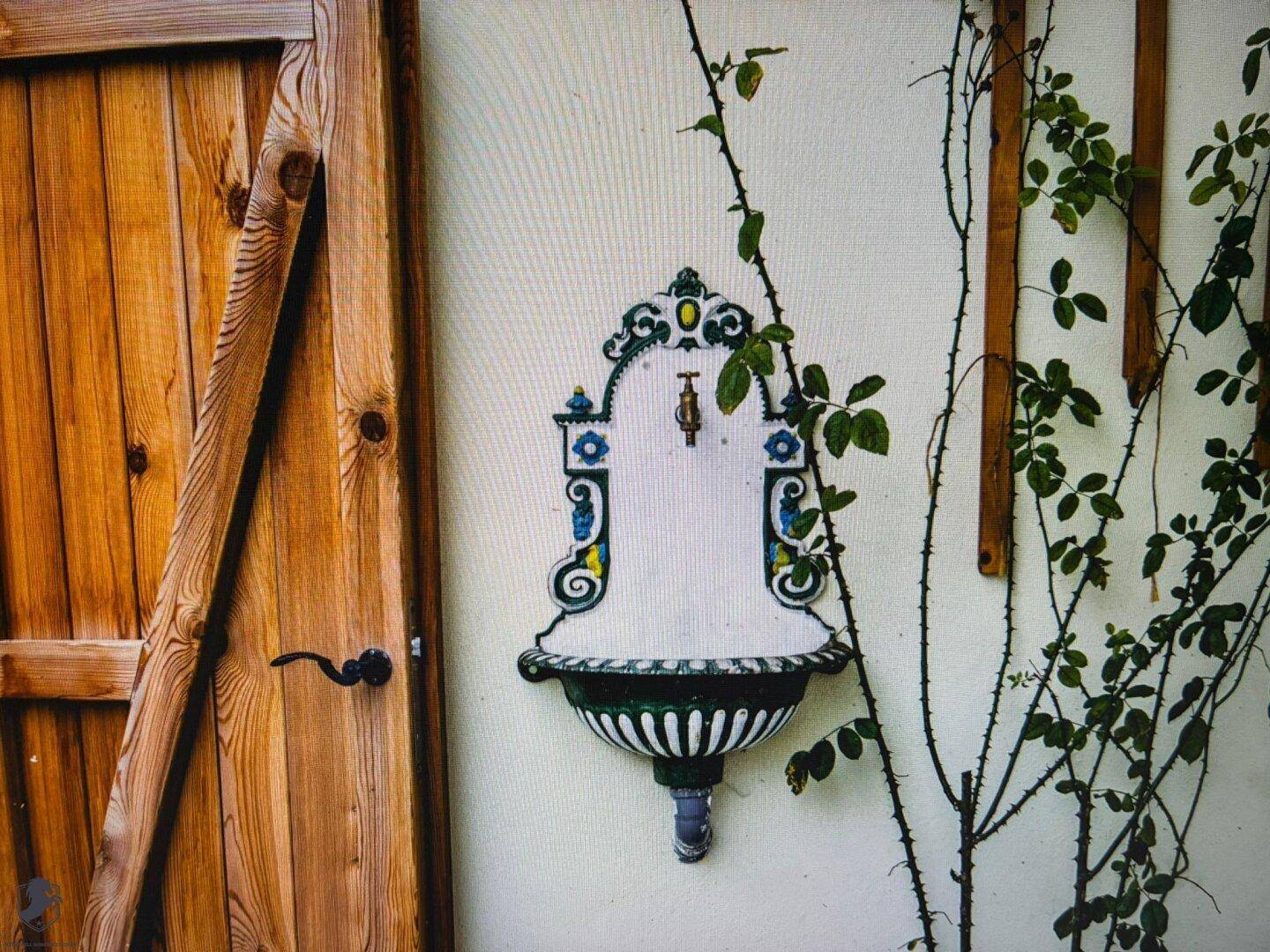Dekorativer Wandbrunnen mit floralen Mustern neben einer rustikalen Holztür und Kletterpflanzen.