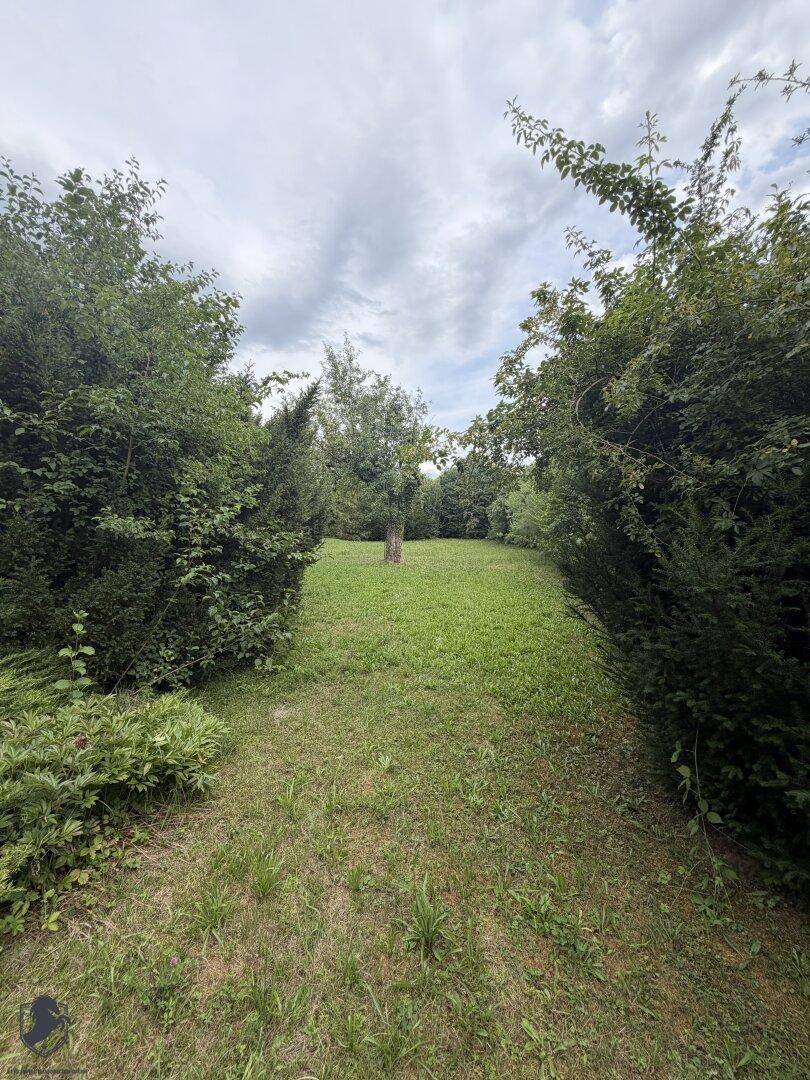 Grüner Gartenbereich mit einem schmalen Pfad, umgeben von dichtem Bewuchs.
