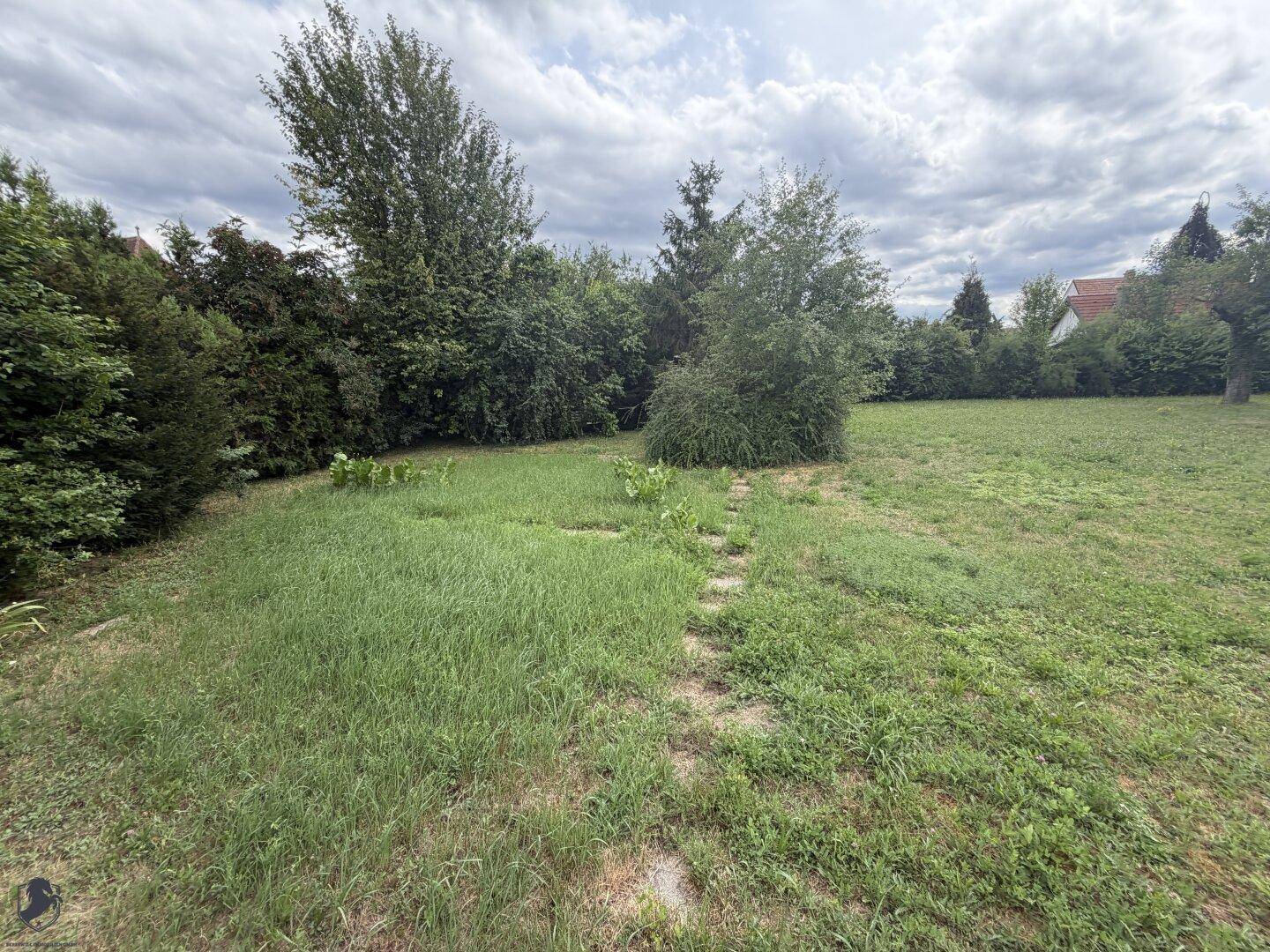 Naturbelassener Gartenbereich mit hohem Gras und einem angedeuteten Pfad.