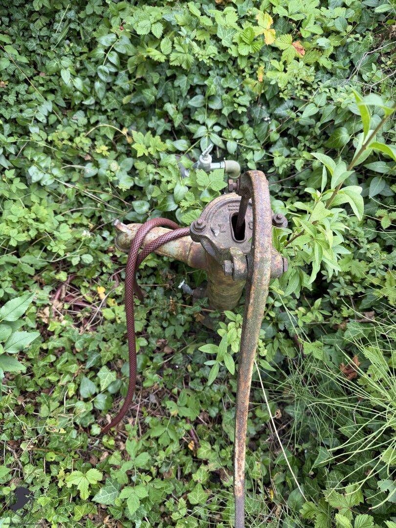 Alte Wasserpumpe umgeben von dichtem Grün im Gartenbereich.