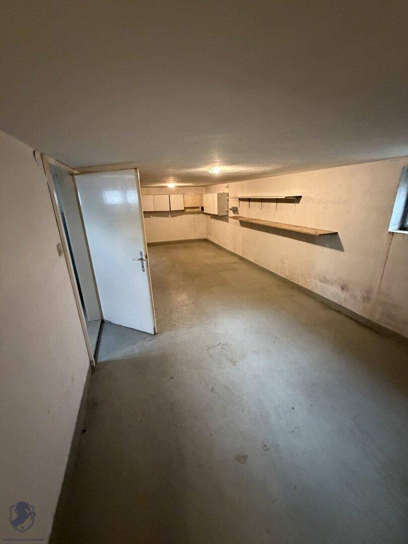 Geräumiger Kellerraum mit Betonboden, Regalen und einem Fenster für Belüftung.