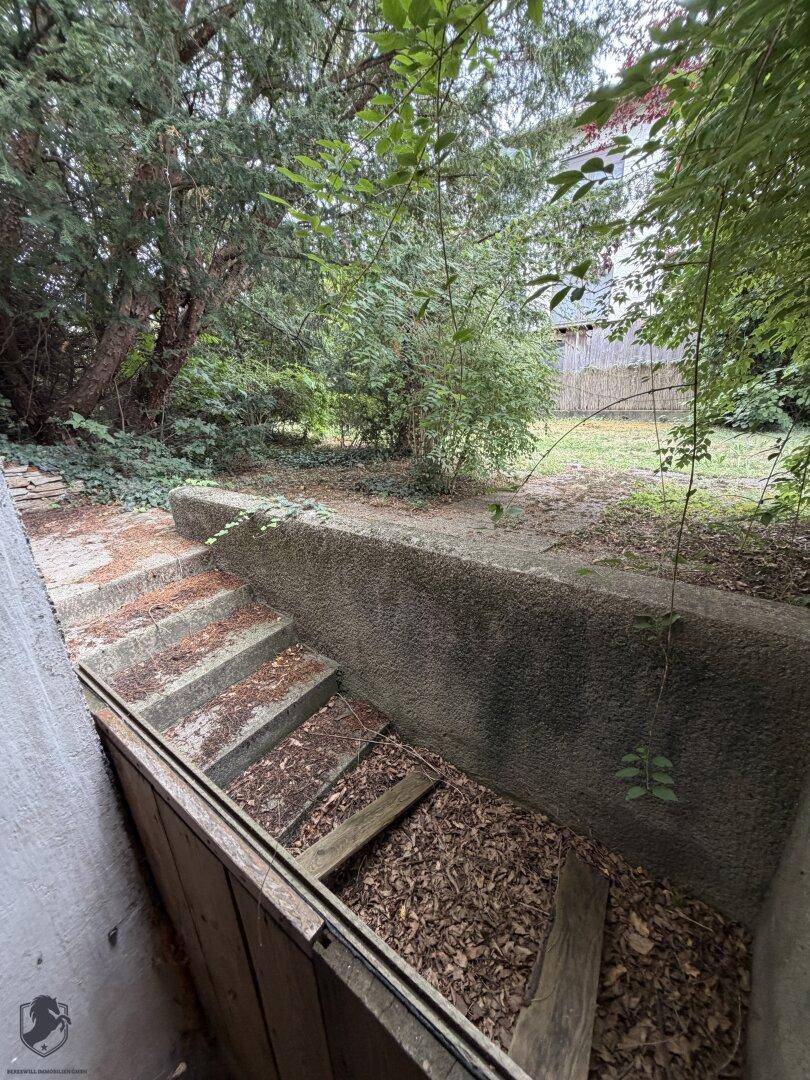 Treppe führt vom Garten in den Keller, umgeben von üppigem Grün und Bäumen.