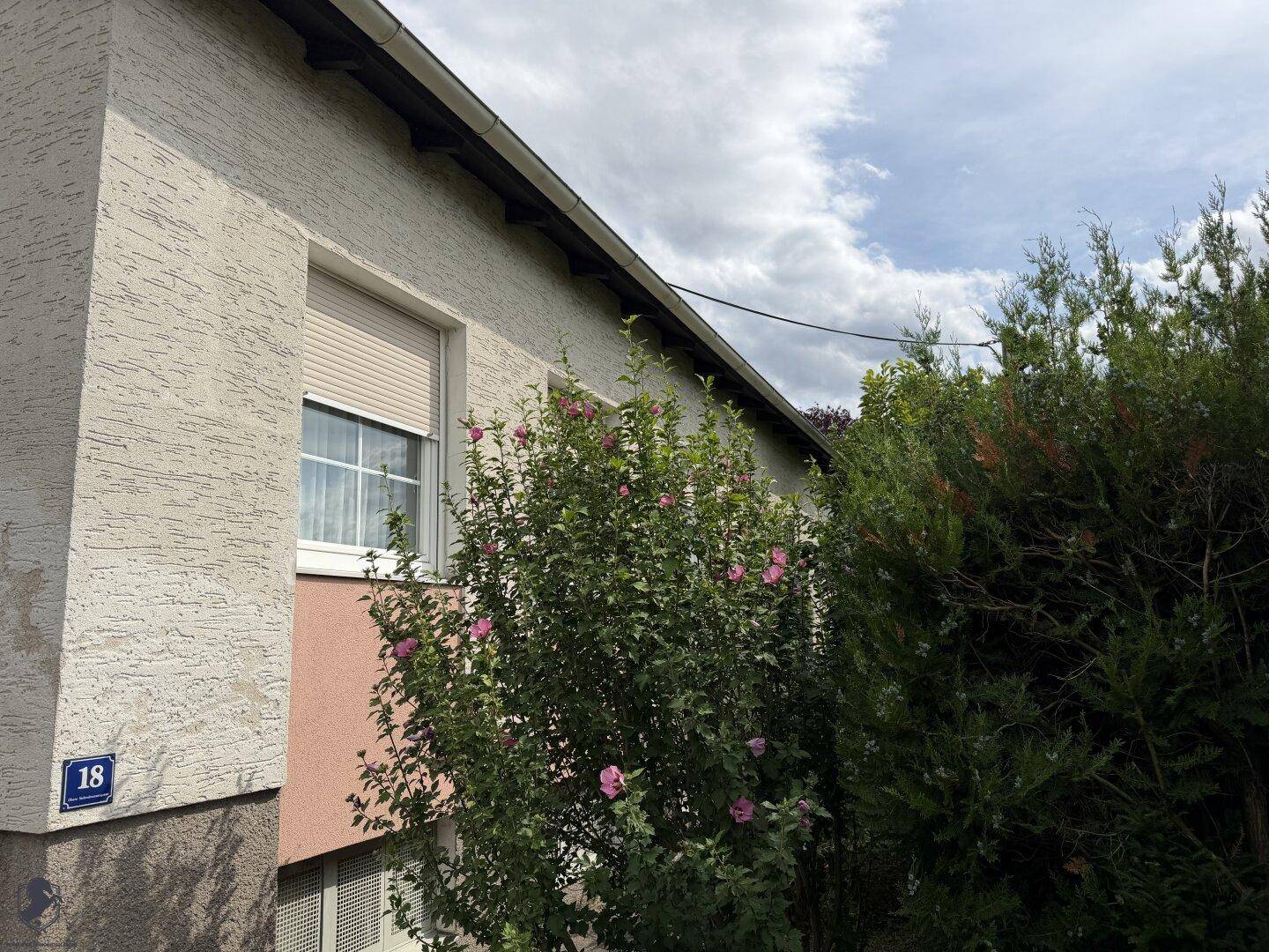 Seitenansicht des Hauses mit Fenster, Rollladen und blühenden Büschen im Vorgarten.