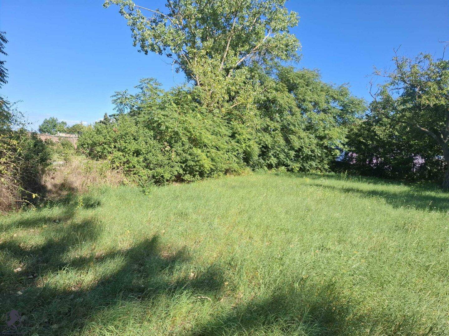 Weitläufige Rasenfläche mit üppiger Vegetation und Bäumen am Horizont unter klarem Himmel.