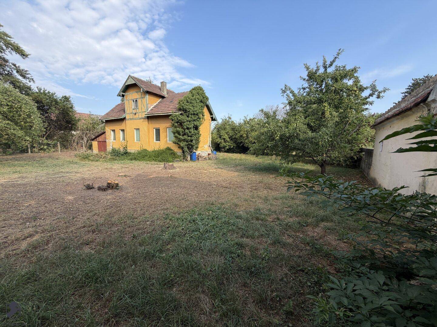 Sonniger Blick auf das gelbe Haus und den weitläufigen Garten mit verschiedenen Bäumen.