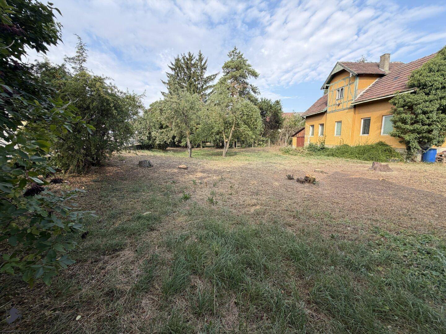 Großer Garten mit Grasflächen und Baumbestand, das gelbe Haus ist im Hintergrund sichtbar.