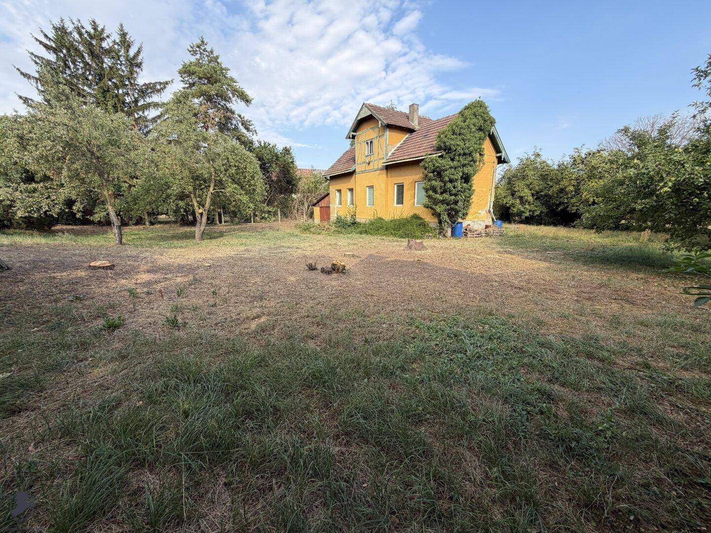Gelbes Haus mit großem, naturbelassenem Garten und altem Baumbestand unter blauem Himmel.