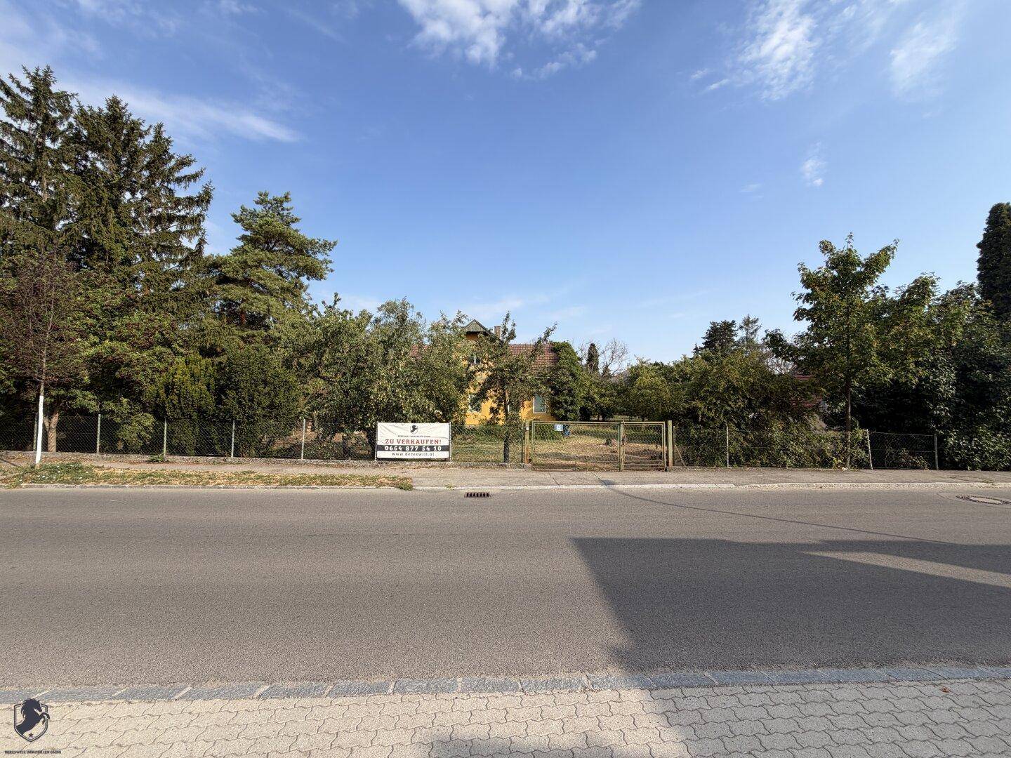 Ansicht des Grundstücks von der Straße aus mit dem gelben Haus im Hintergrund.