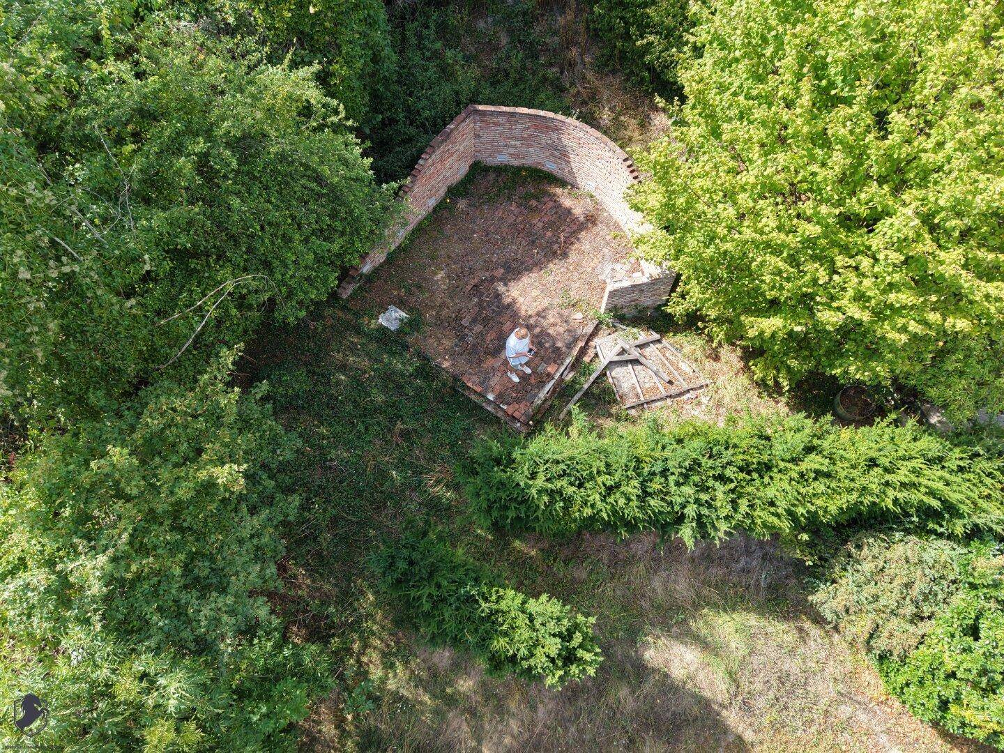 Luftaufnahme eines verwilderten Gartenbereichs mit alten Mauern und umgeben von Bäumen.