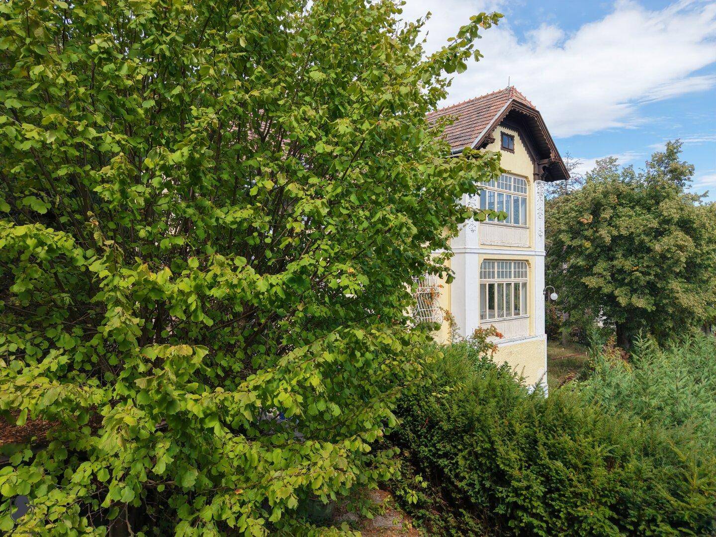Seitenansicht der historischen Villa, teilweise verdeckt von üppigem Grün und Bäumen.