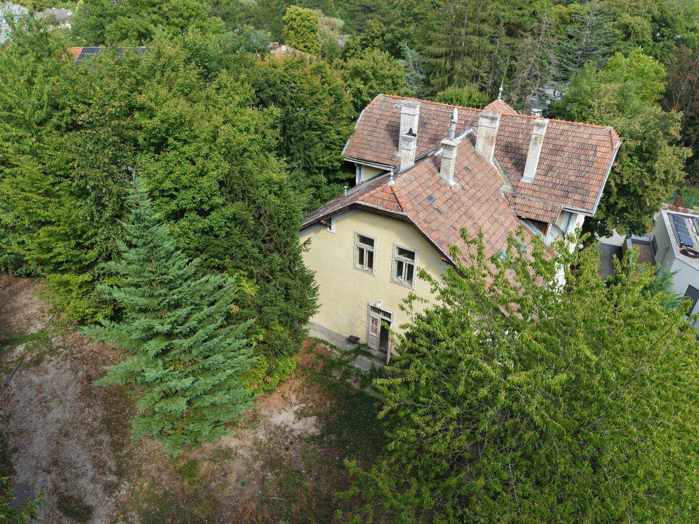 Blick auf die Seitenfassade der Villa und das bewaldete Grundstück mit altem Baumbestand.
