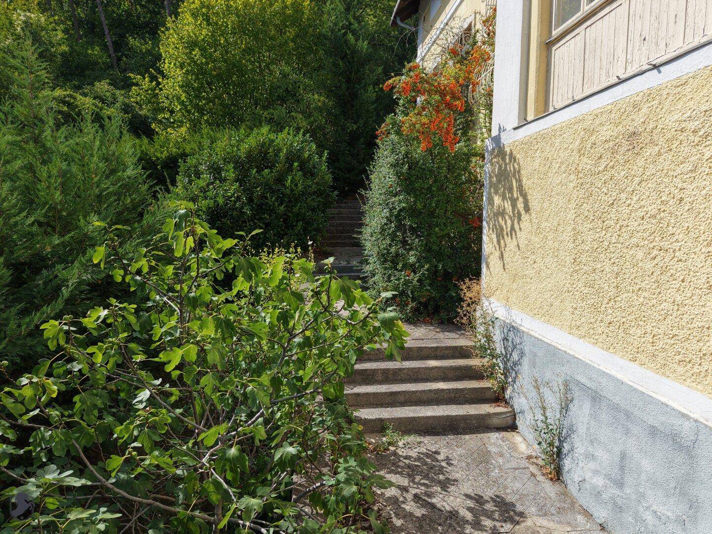 Steintreppe führt durch die grüne Vegetation hinauf zur historischen Villa.