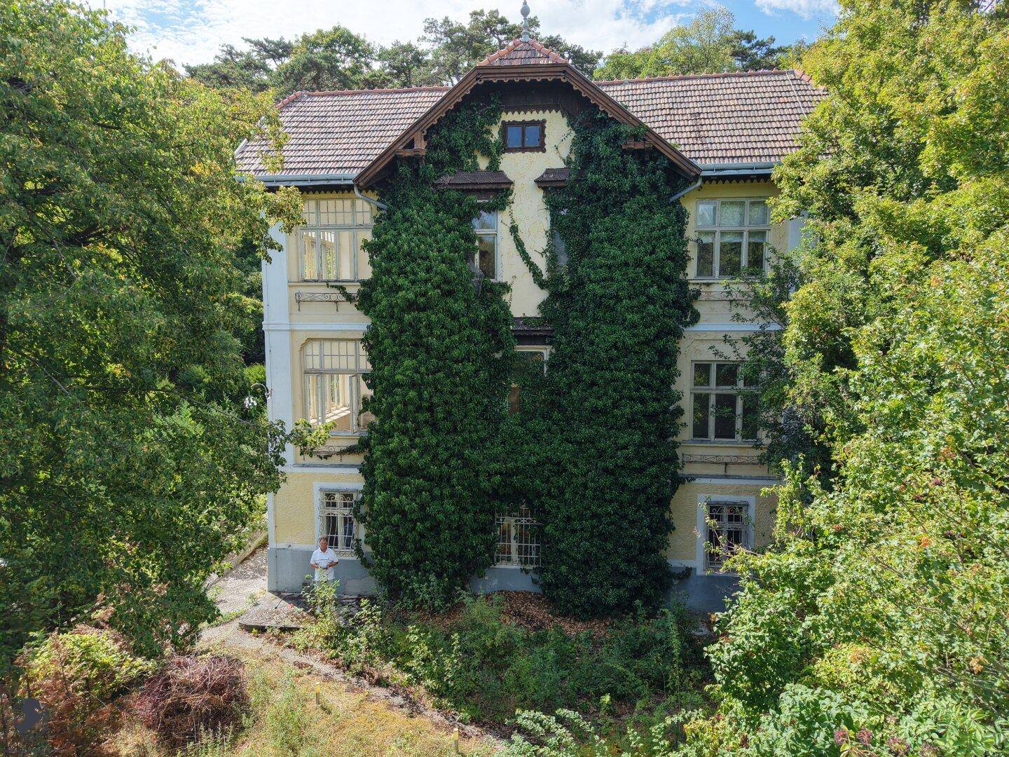 Historische Villa mit gelber Fassade, teilweise von Efeu bewachsen, umgeben von Bäumen.